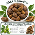 Chebulic Myrobalan / Haritaki (Terminalia chebula)