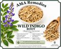 Wild Indigo (Baptisia tinctoria)