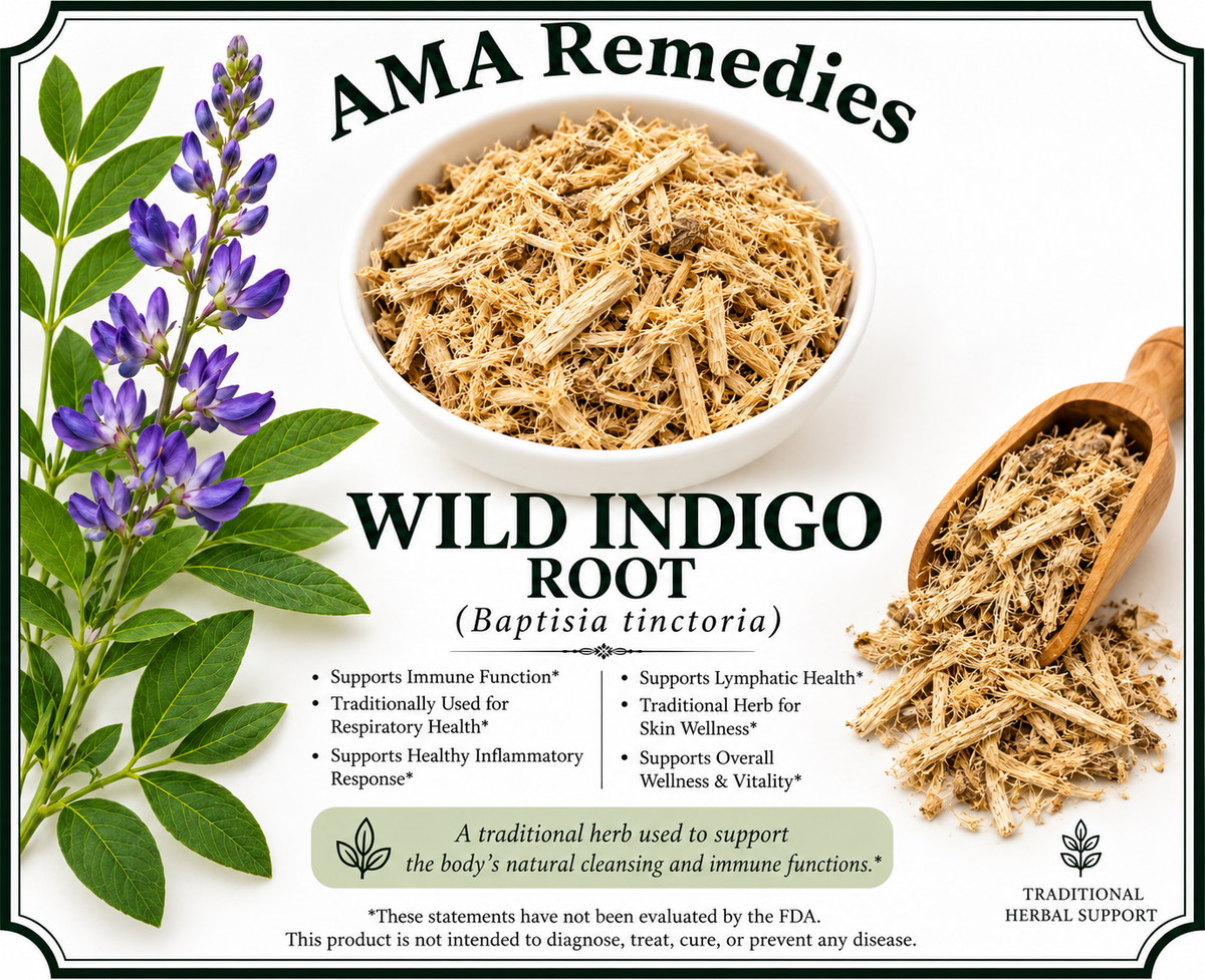 Wild Indigo (Baptisia tinctoria)