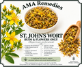 St. John's Wort (Hypericum perforatum) - buds & flowers