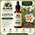 Cistus Incanus Tincture