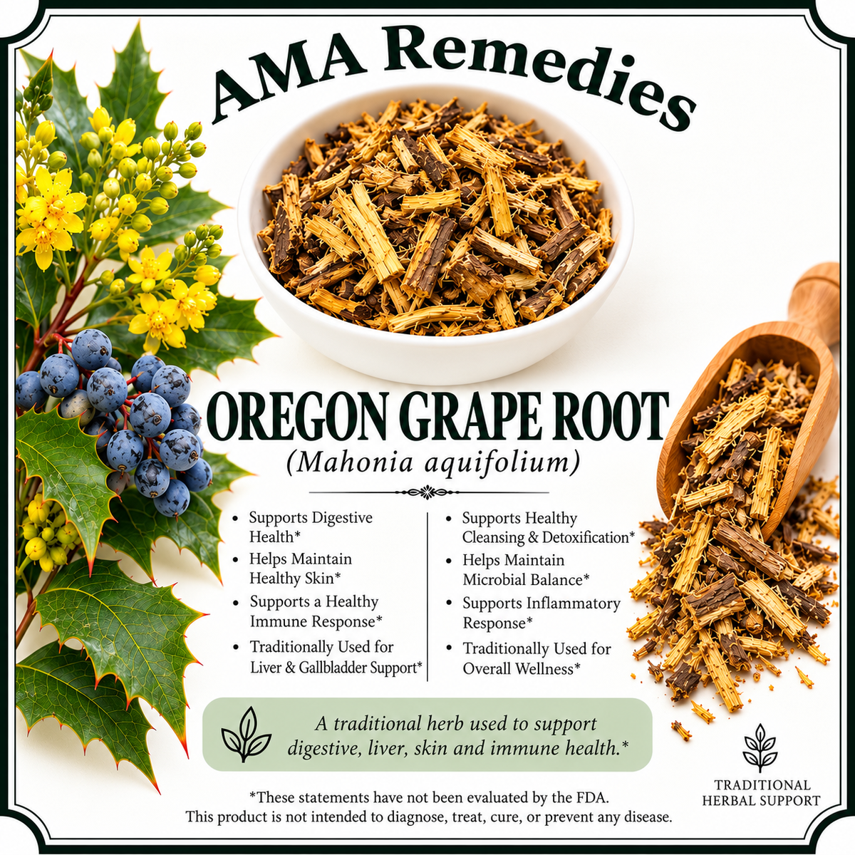 Oregon Grape Root (Mahonia aquifolium)