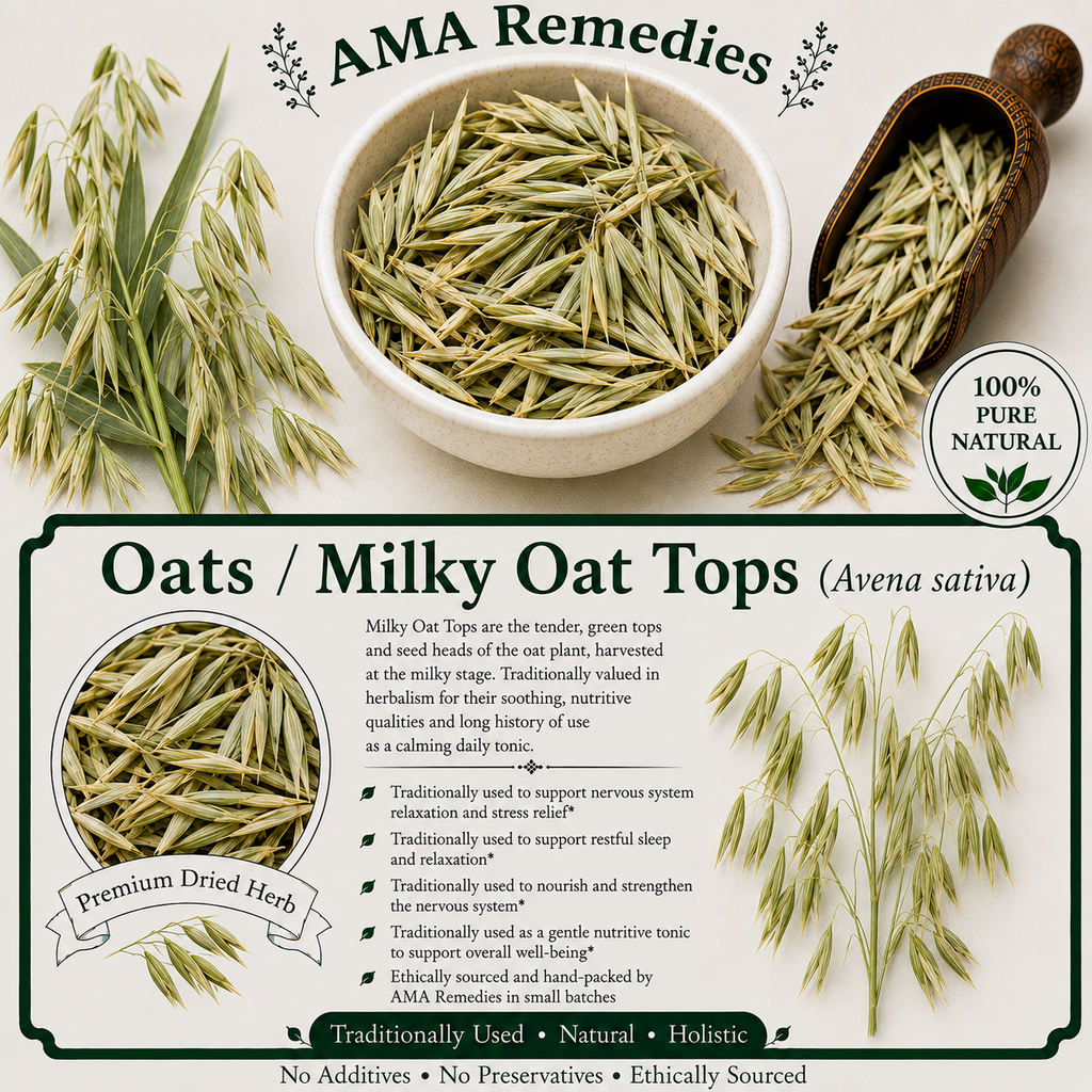 Oats / Milky Oat Tops (Avena sativa)