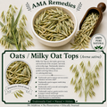 Oats / Milky Oat Tops (Avena sativa)