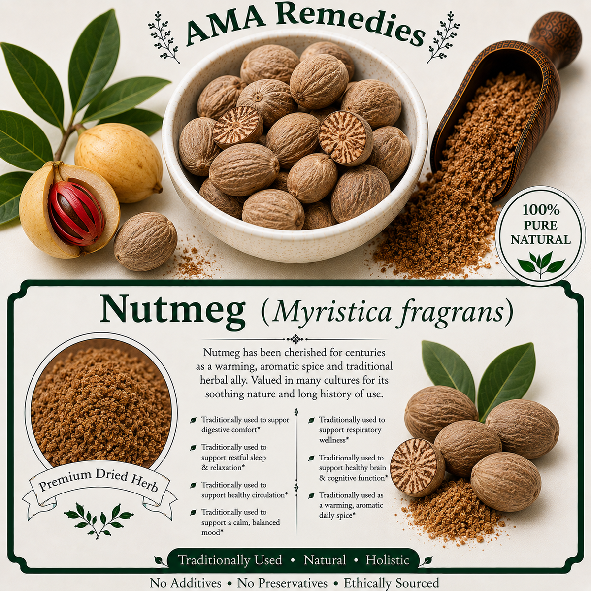 Nutmeg (Myristica fragrans)