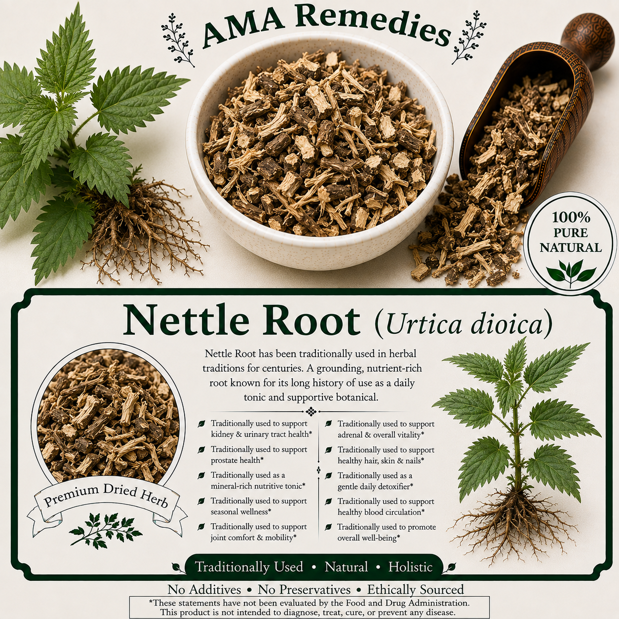 Nettle Root (Urtica dioica)