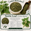 Nettle Leaf (Urtica dioica)