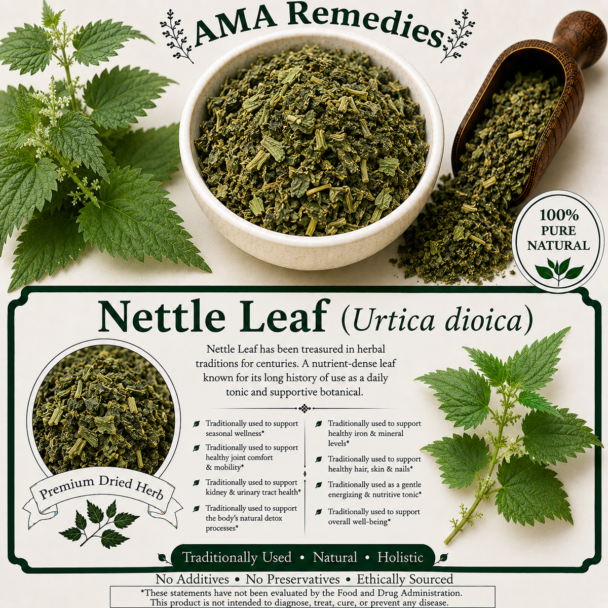 Nettle Leaf (Urtica dioica)