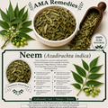 Neem (Azadirachta indica) — Dried Leaves