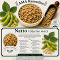Natto — Dried Fermented Soybeans (Glycine max)