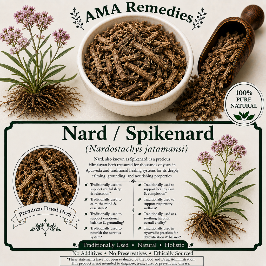 Nard / Spikenard (Nardostachys jatamansi) — Dried Rhizome