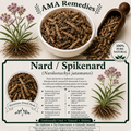 Nard / Spikenard (Nardostachys jatamansi) — Dried Rhizome