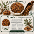 Myrrh (Commiphora myrrha)