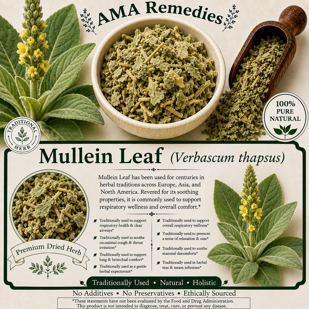 Mullein Leaf (Verbascum thapsus)