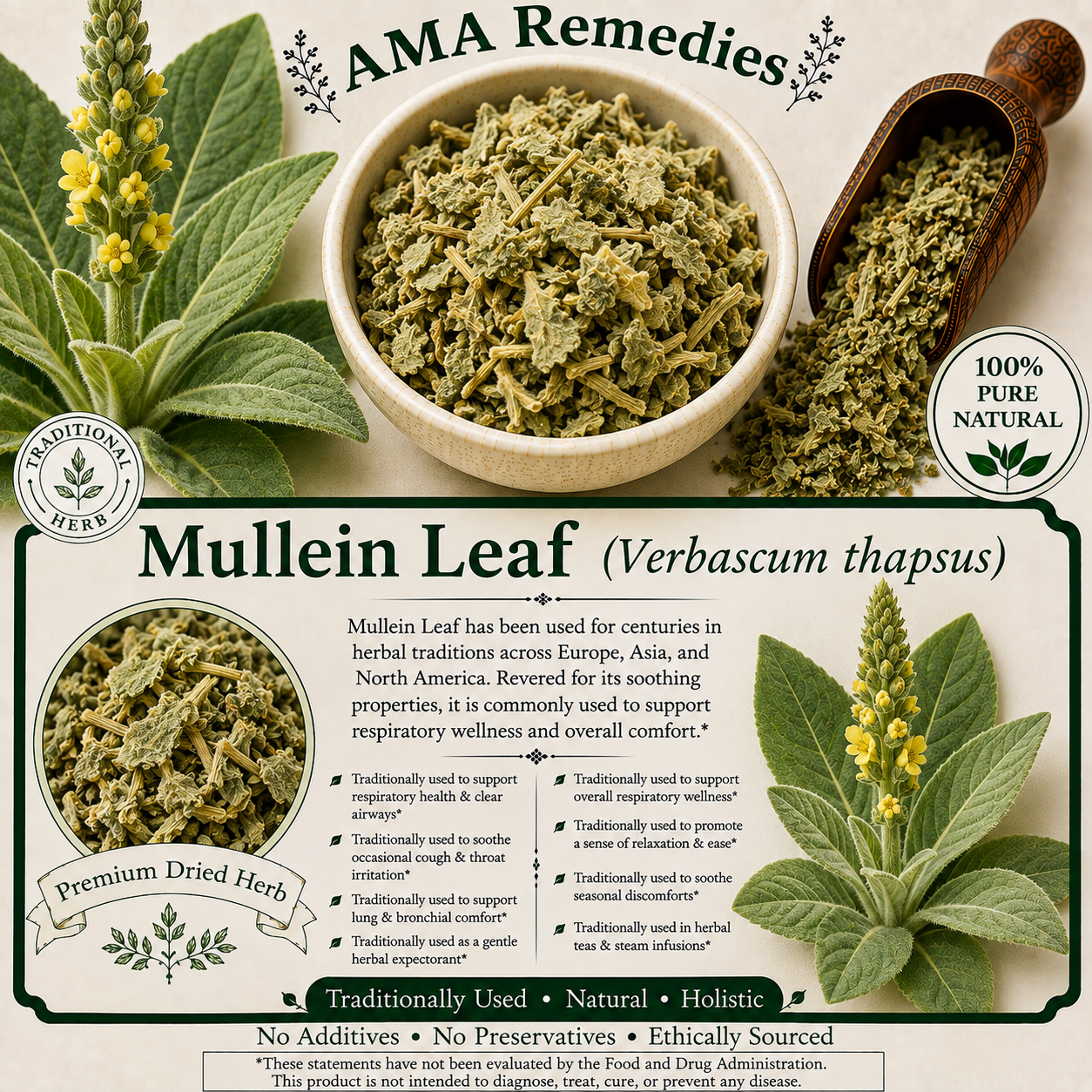 Mullein Leaf (Verbascum thapsus)