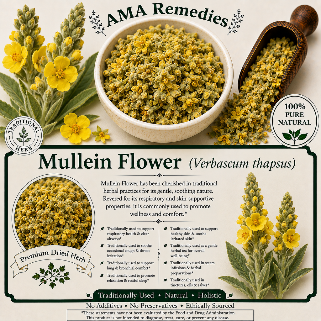 Mullein Flower (Verbascum thapsus)