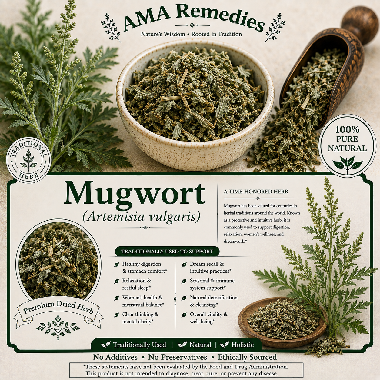 Mugwort (Artemisia vulgaris)