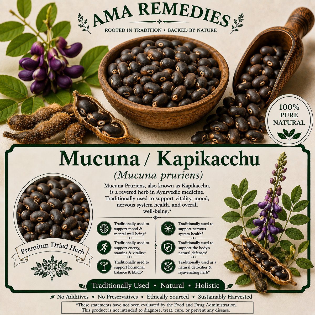 Mucuna / Kapikacchu (Mucuna pruriens) — Dried Seeds