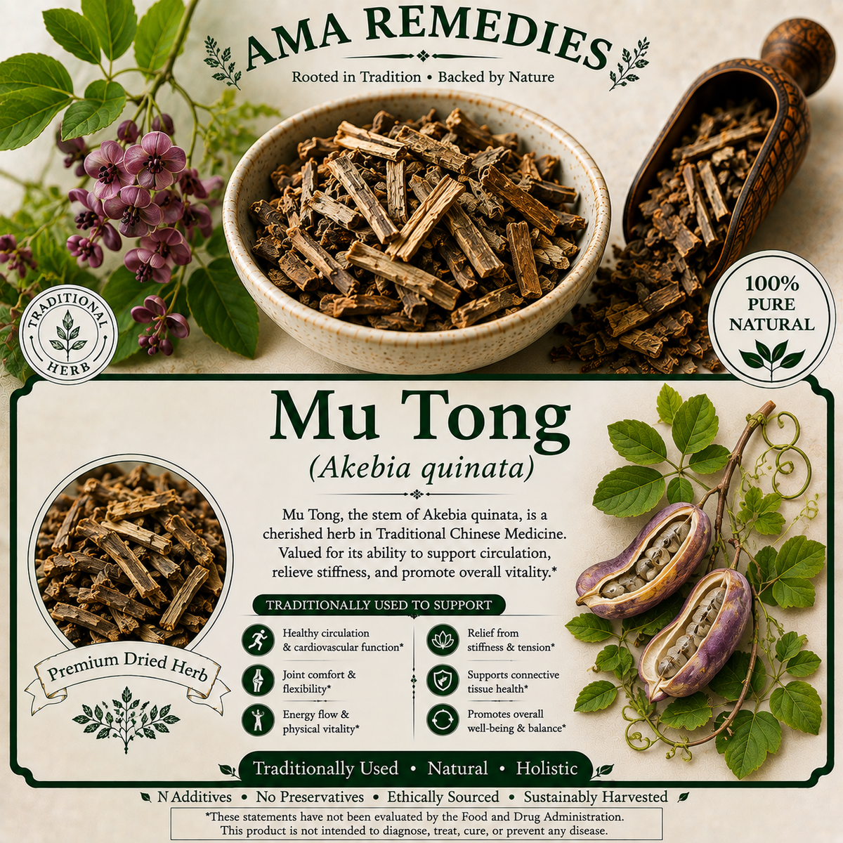 Mu Tong (Akebia quinata)