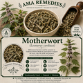 Motherwort (Leonurus cardiaca)