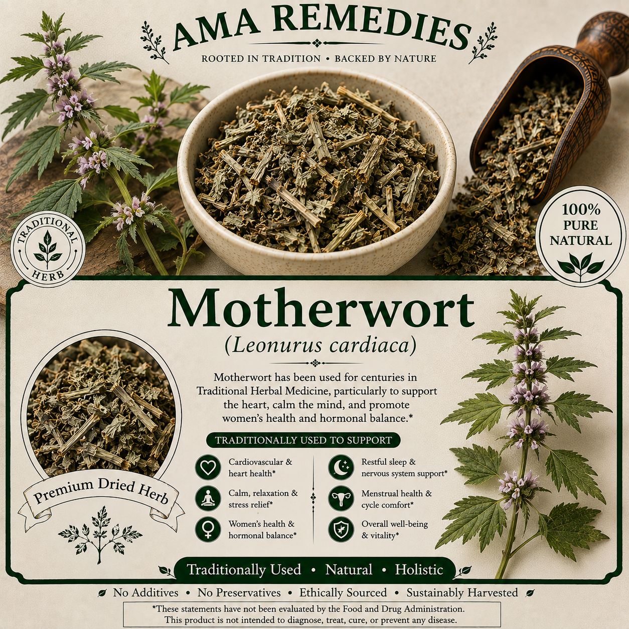Motherwort (Leonurus cardiaca)