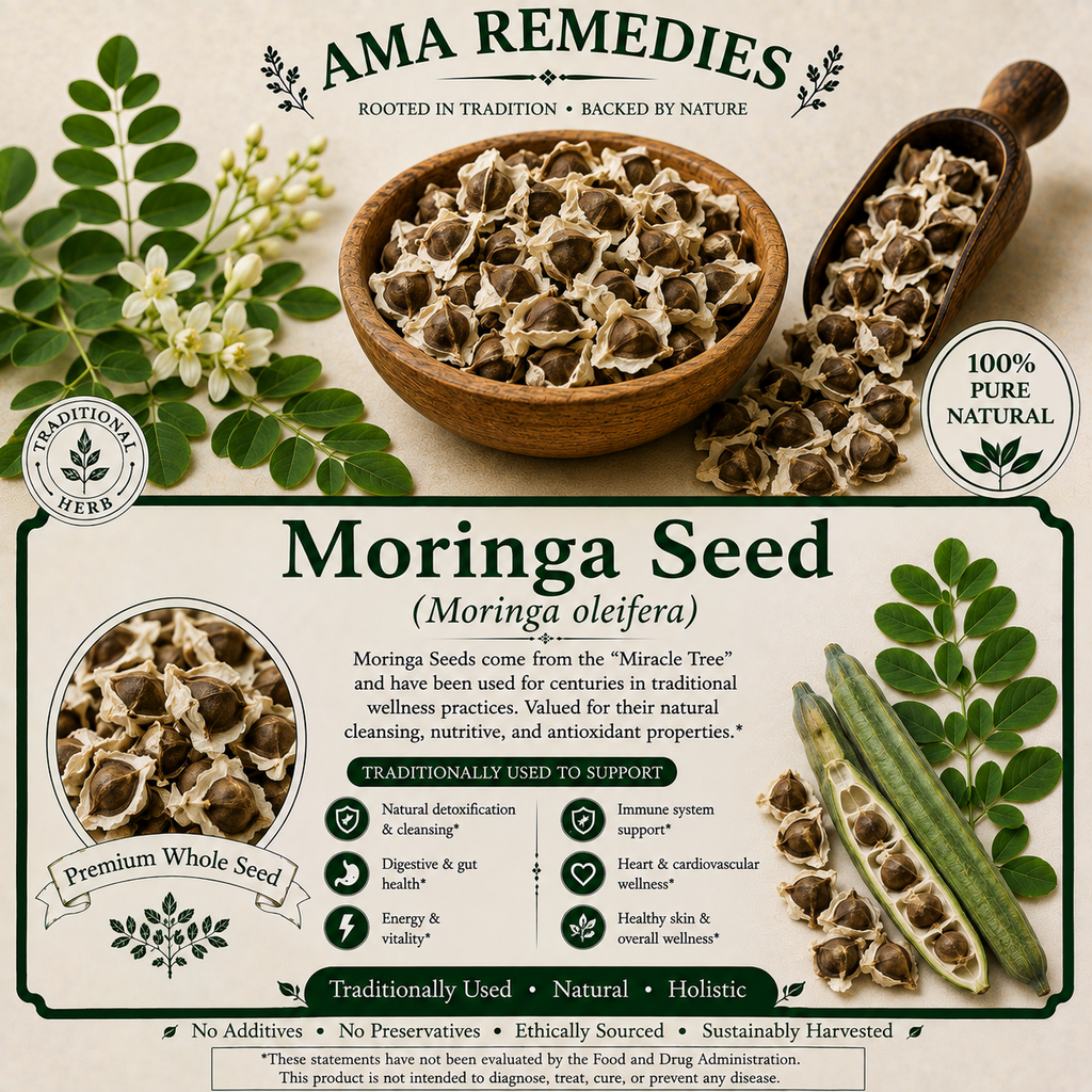 Moringa Seed (Moringa oleifera)