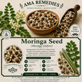 Moringa Seed (Moringa oleifera)