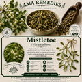Mistletoe (Viscum album)