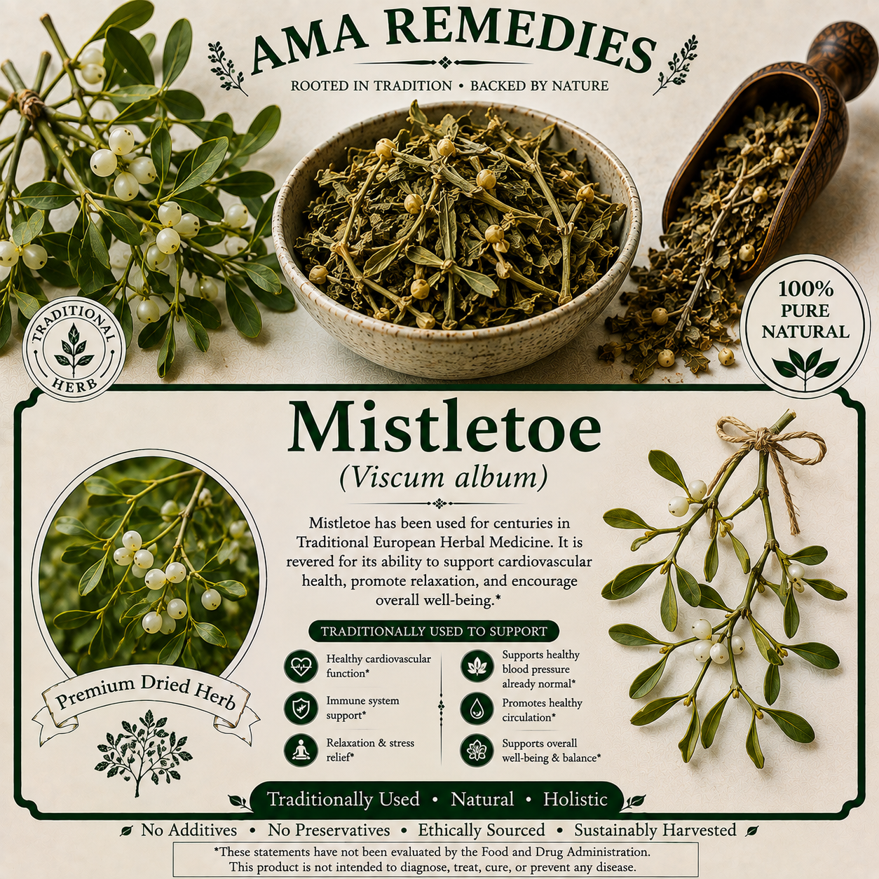 Mistletoe (Viscum album)
