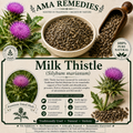 Milk Thistle (Silybum marianum)