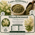 Meadowsweet (Filipendula ulmaria)