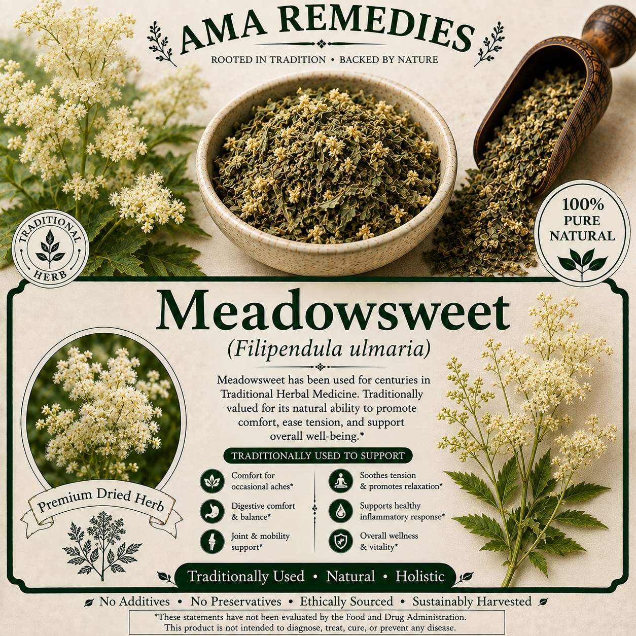 Meadowsweet (Filipendula ulmaria)