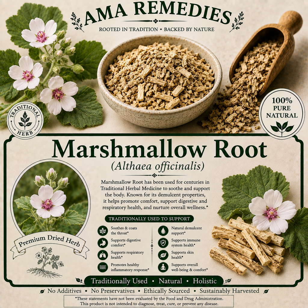 Marshmallow Root (Althaea officinalis)