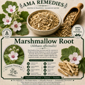 Marshmallow Root (Althaea officinalis)