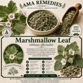 Marshmallow Leaf (Althaea officinalis)