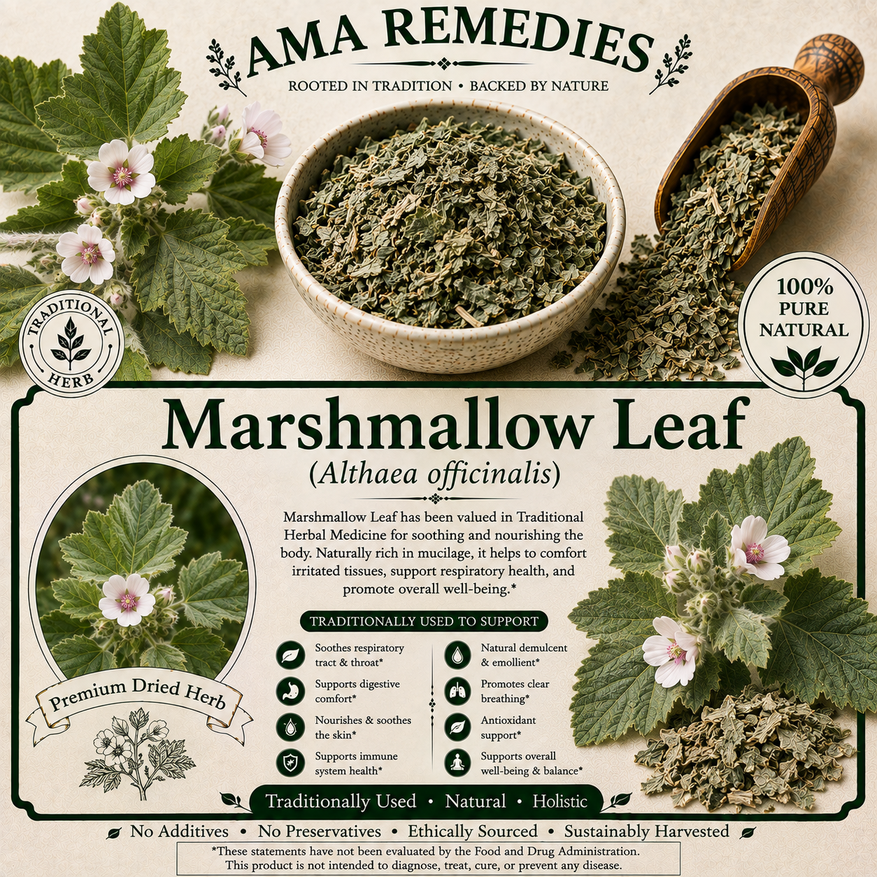 Marshmallow Leaf (Althaea officinalis)