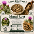Maral Root (Rhaponticum carthamoides)