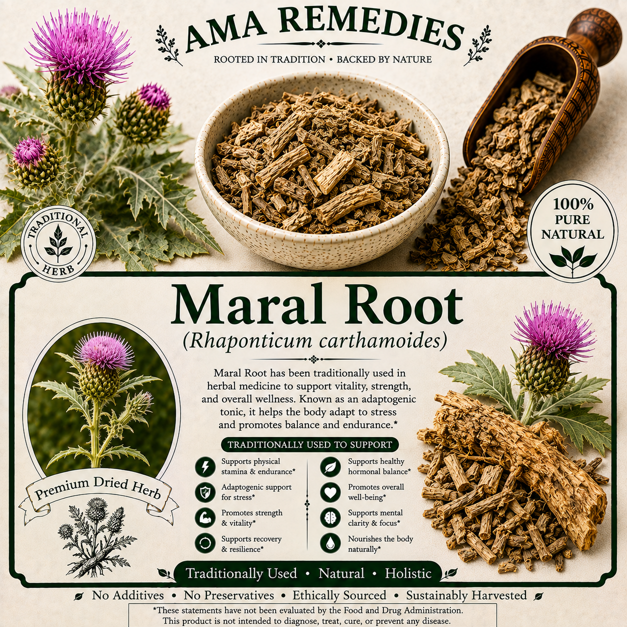 Maral Root (Rhaponticum carthamoides)