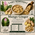 Mango Ginger (Curcuma amada) — Dried Rhizome