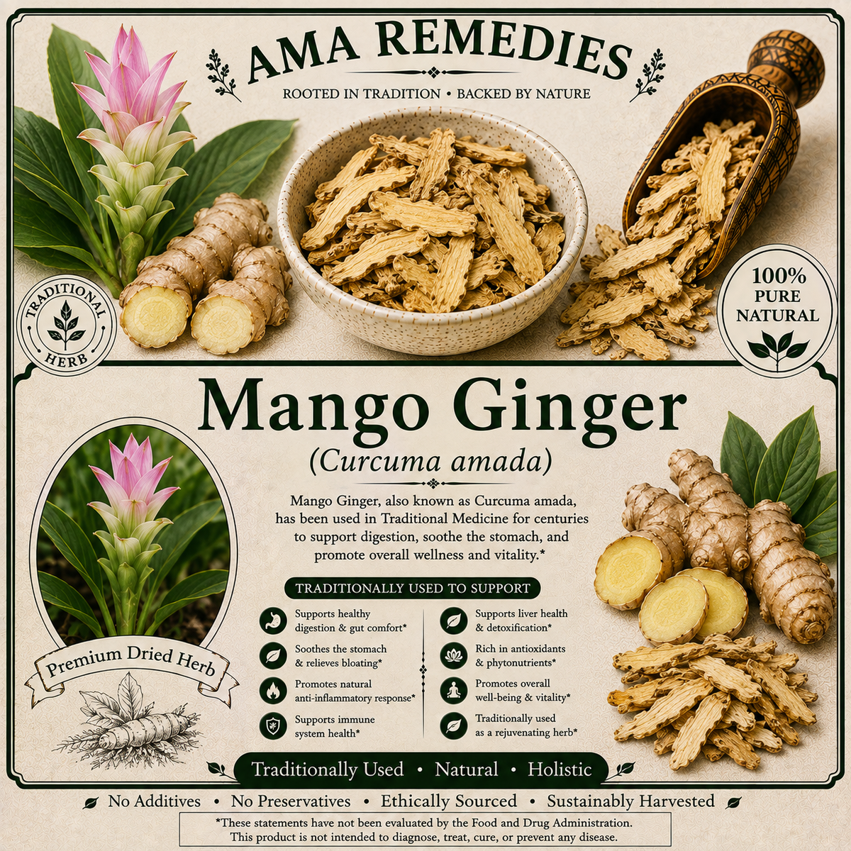 Mango Ginger (Curcuma amada) — Dried Rhizome
