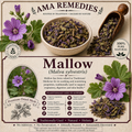 Mallow (Malva sylvestris)