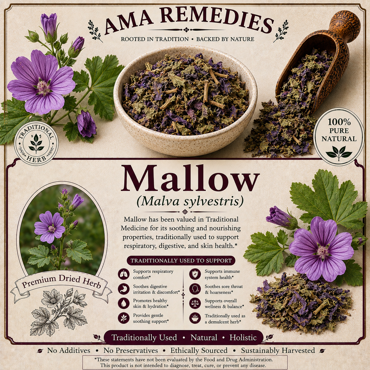 Mallow (Malva sylvestris)