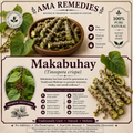 Makabuhay (Tinospora crispa) — Dried Stem