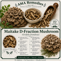 Maitake D-Fraction Mushroom (Grifola frondosa)
