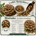 Maitake (Grifola frondosa) — Dried Mushroom