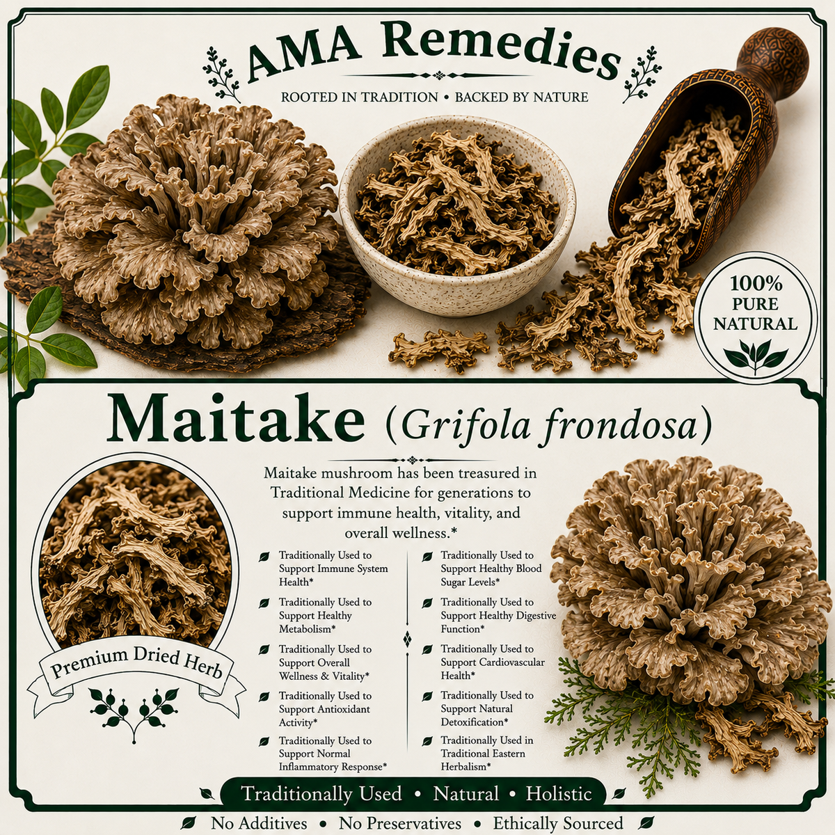 Maitake (Grifola frondosa) — Dried Mushroom