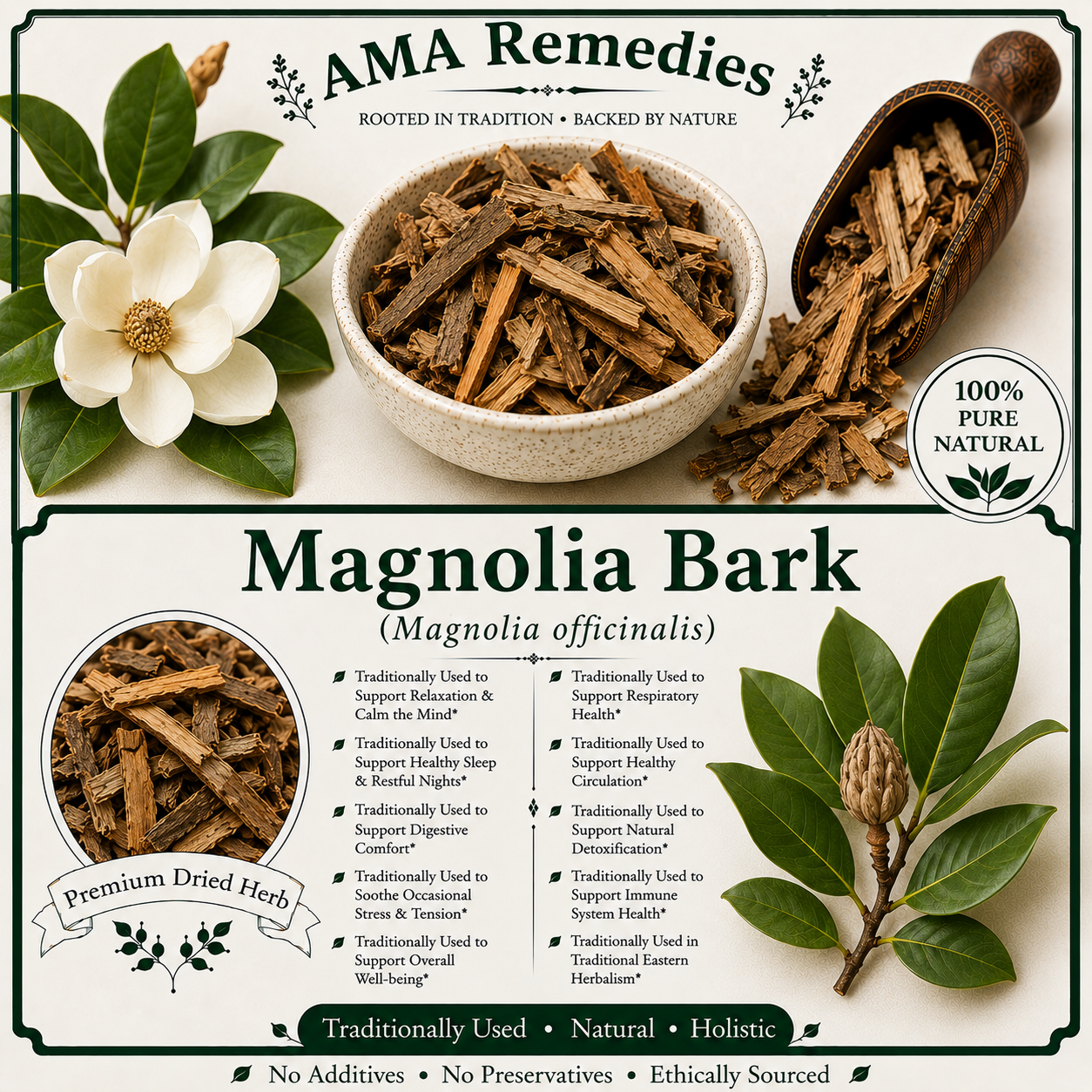 Magnolia Bark (Magnolia officinalis)