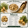 Maca (Lepidium meyenii) — Dried Root