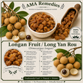 Longan Fruit / Long Yan Rou (Dimocarpus longan)