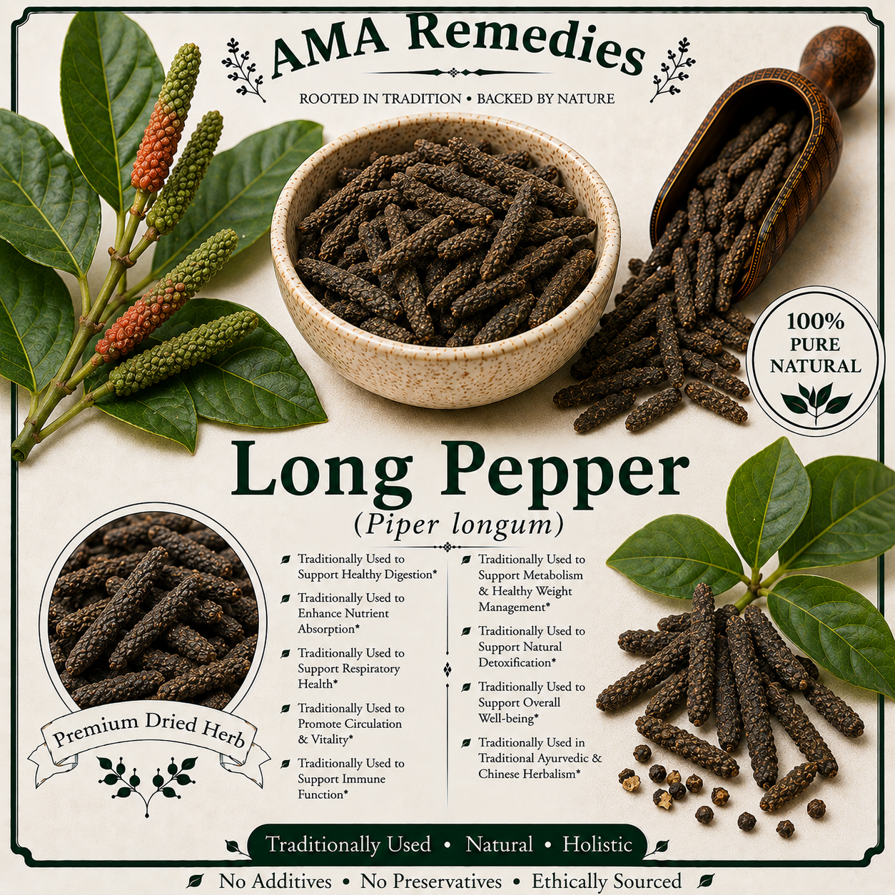 Long Pepper (Piper longum)